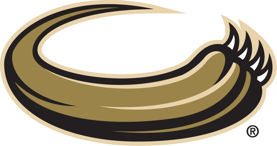 Oakland Golden Grizzlies 1998-2013 Secondary Logo diy iron on heat transfer